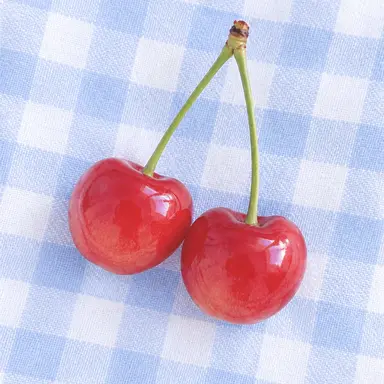 Profile image of Rou