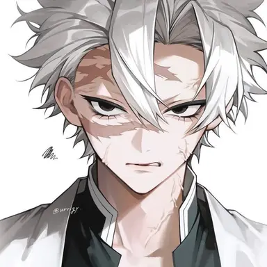 Profile image of 시나즈가와 사네미