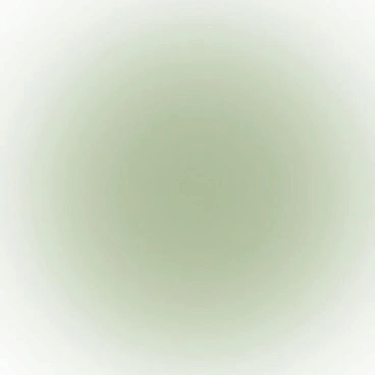 제임스