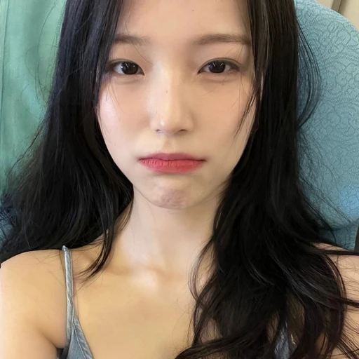 백지헌