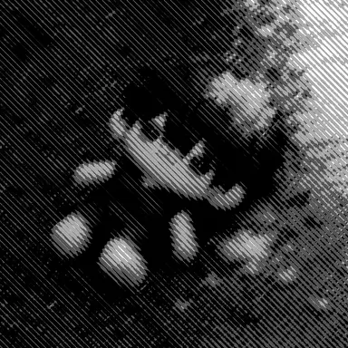 Profile image of _