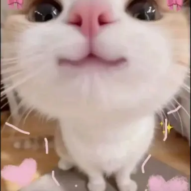 Profile image of 다키