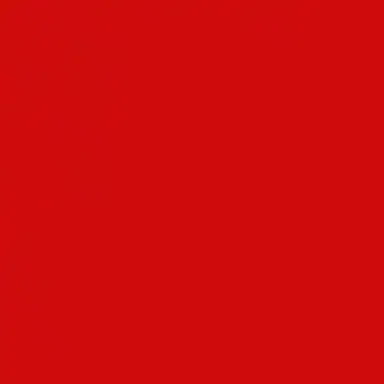 Profile image of 플래그
