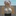 스치