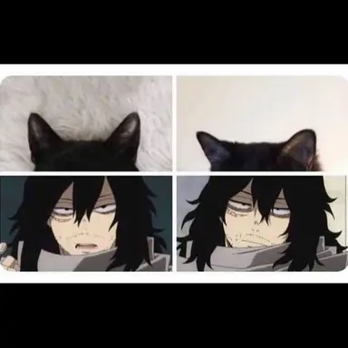 Profile image of Aizawa