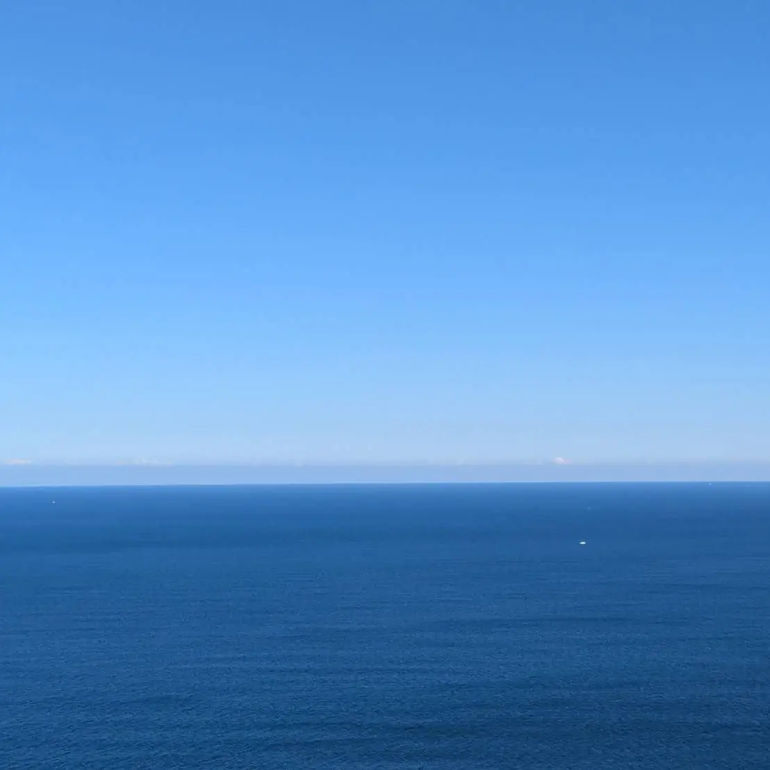 DearSpice5142의 これは運命…？