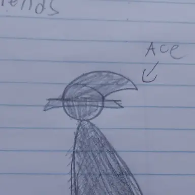Profile image of Ace