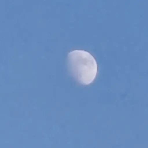 Luna0124의 오즈의 마법사 공룡