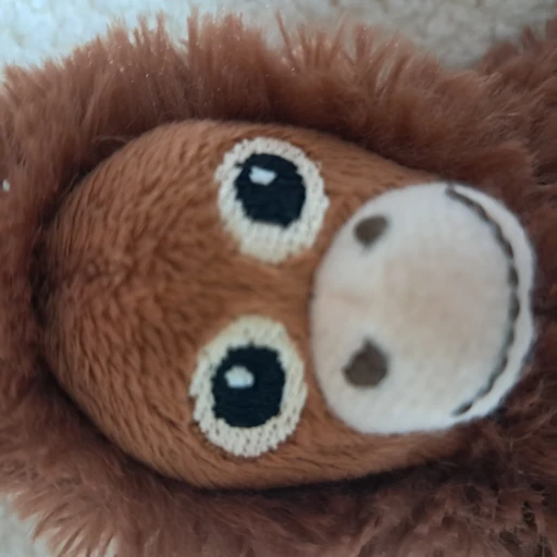 오랑이