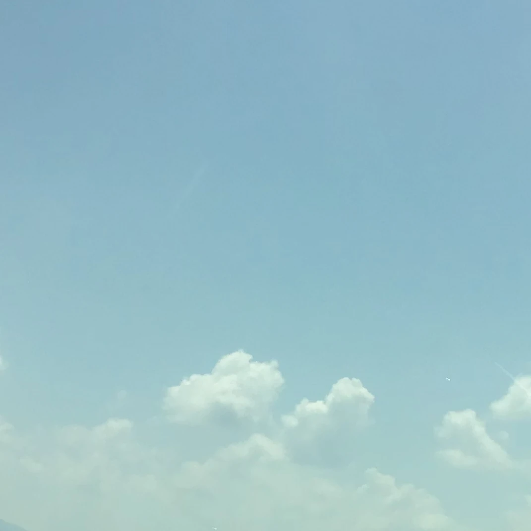 俺の家族