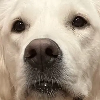 Profile image of Jake