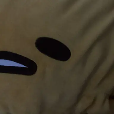 Profile image of アメリカ