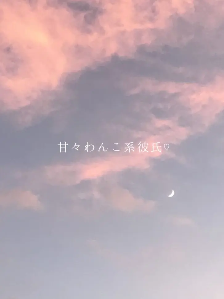 omochimaru25의 甘々わんこ系彼氏♡