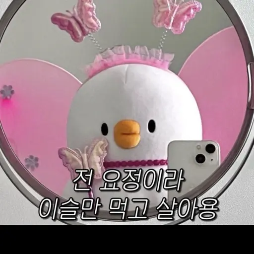 IRATALF_victoriasa1109의 요정