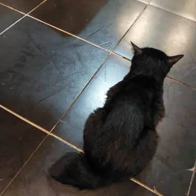 Profile image of 쿠로오