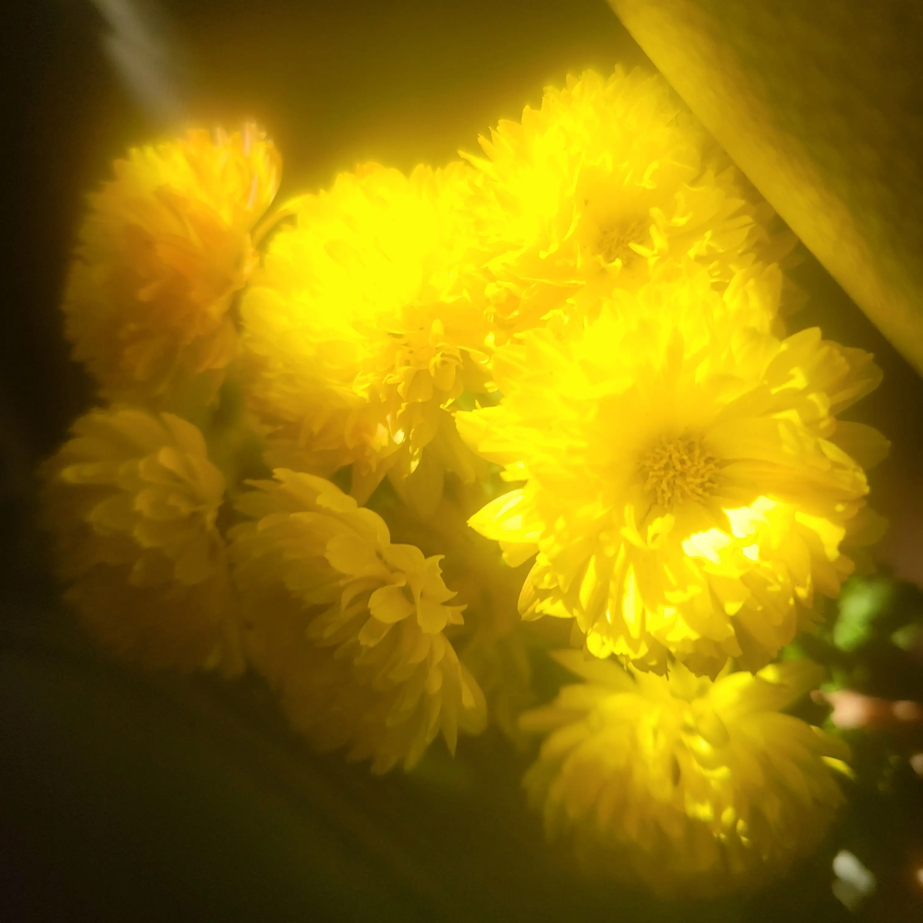 sky1300의 각별남편