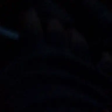 Profile image of Chase