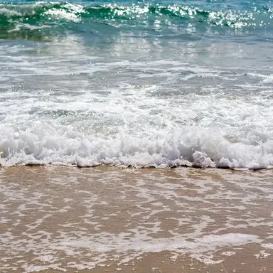 Profile image of 잠뜰