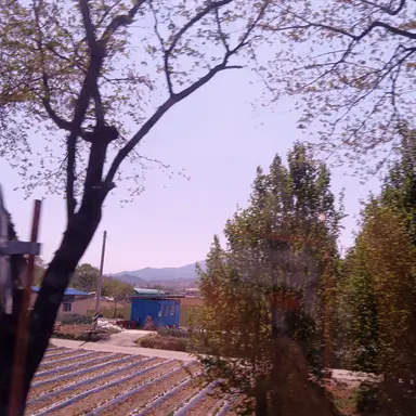 Profile image of 성시후