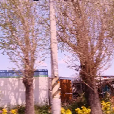 Profile image of 남명심