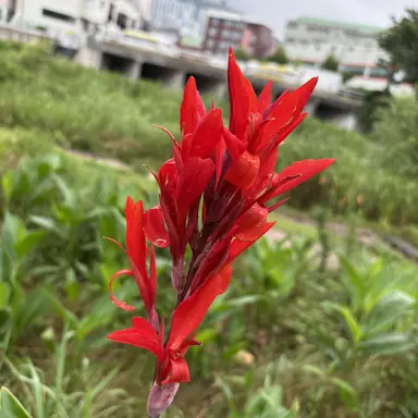 Profile image of 라더