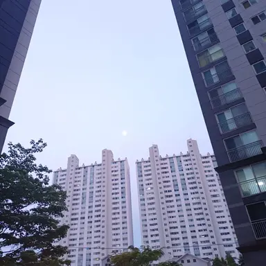 Profile image of 이타도리 유지