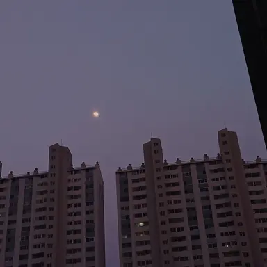 Profile image of 후시구로 메구미