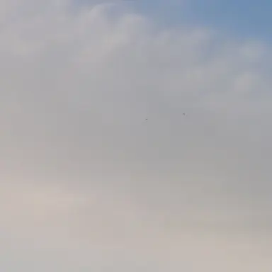 Profile image of 카모 노리토시