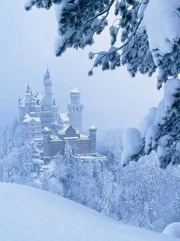 UnfitPlush1900의 도은호