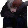 Profile image of Shoto Todoroki