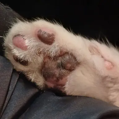 Profile image of 민현