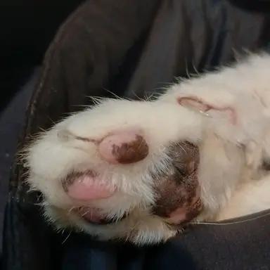 Profile image of 승재