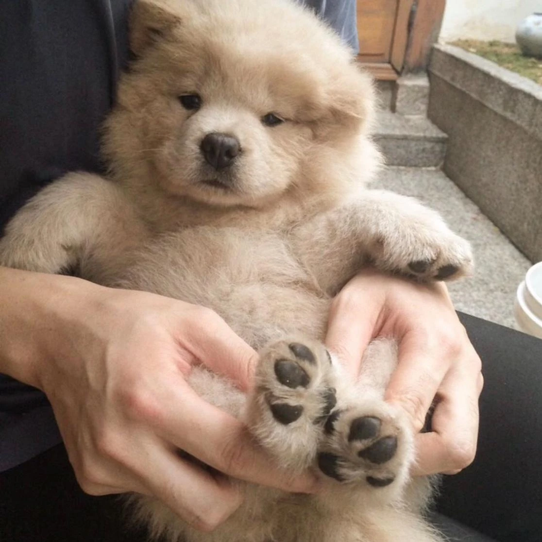 홍덕수를 닮고싶은 인절미