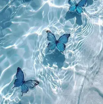 HeavyClean5621의 Dominic toretto