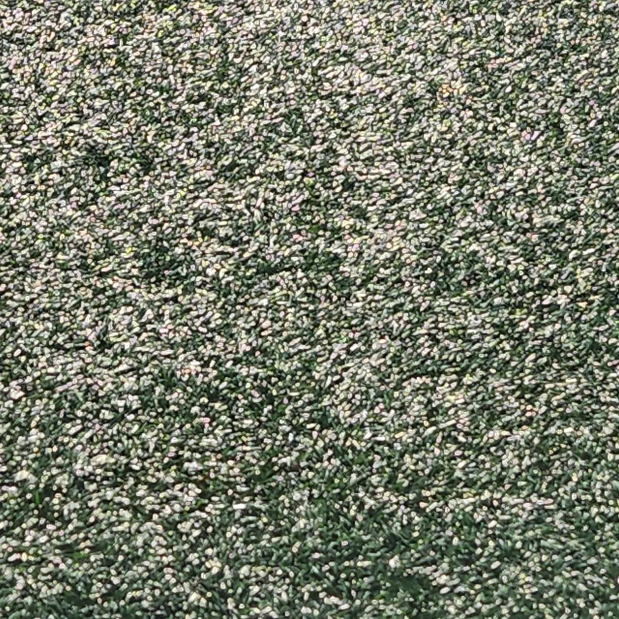 GreenTorch6329의 덱스