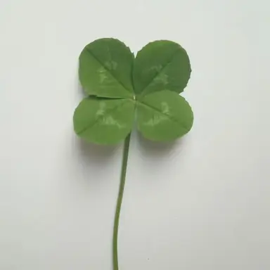 Profile image of 김우주