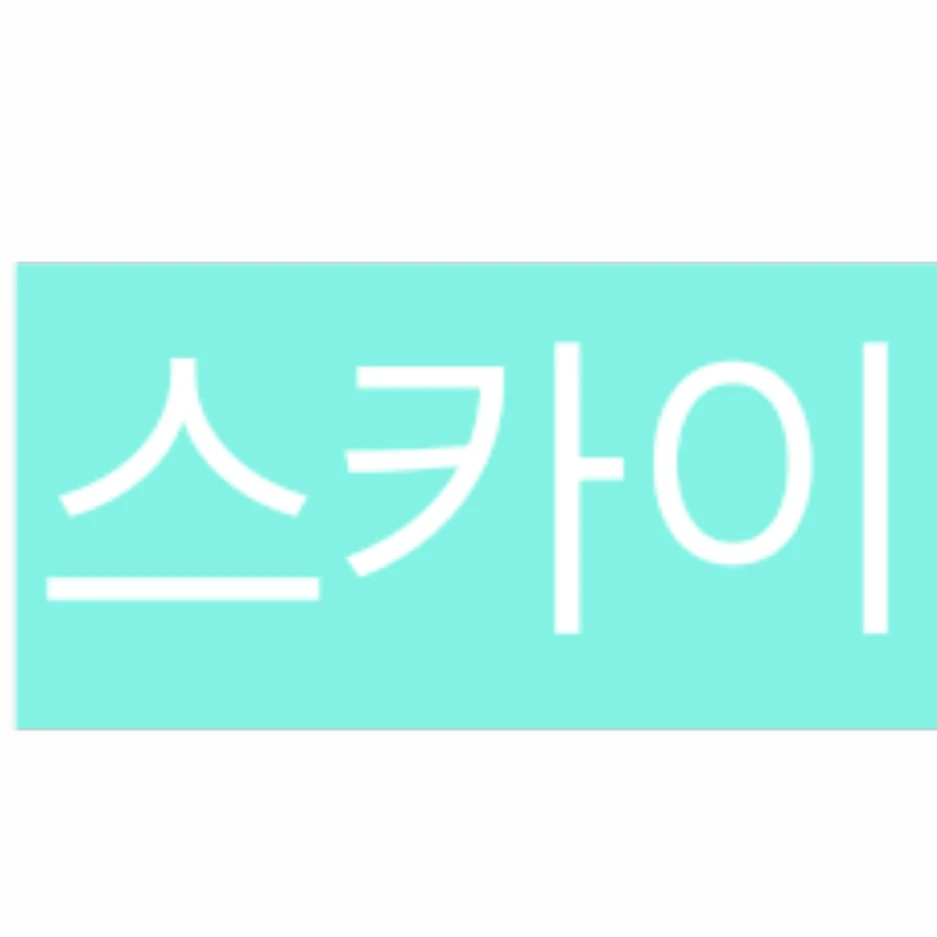 스카이