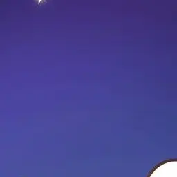 Profile image of 紺野和泉