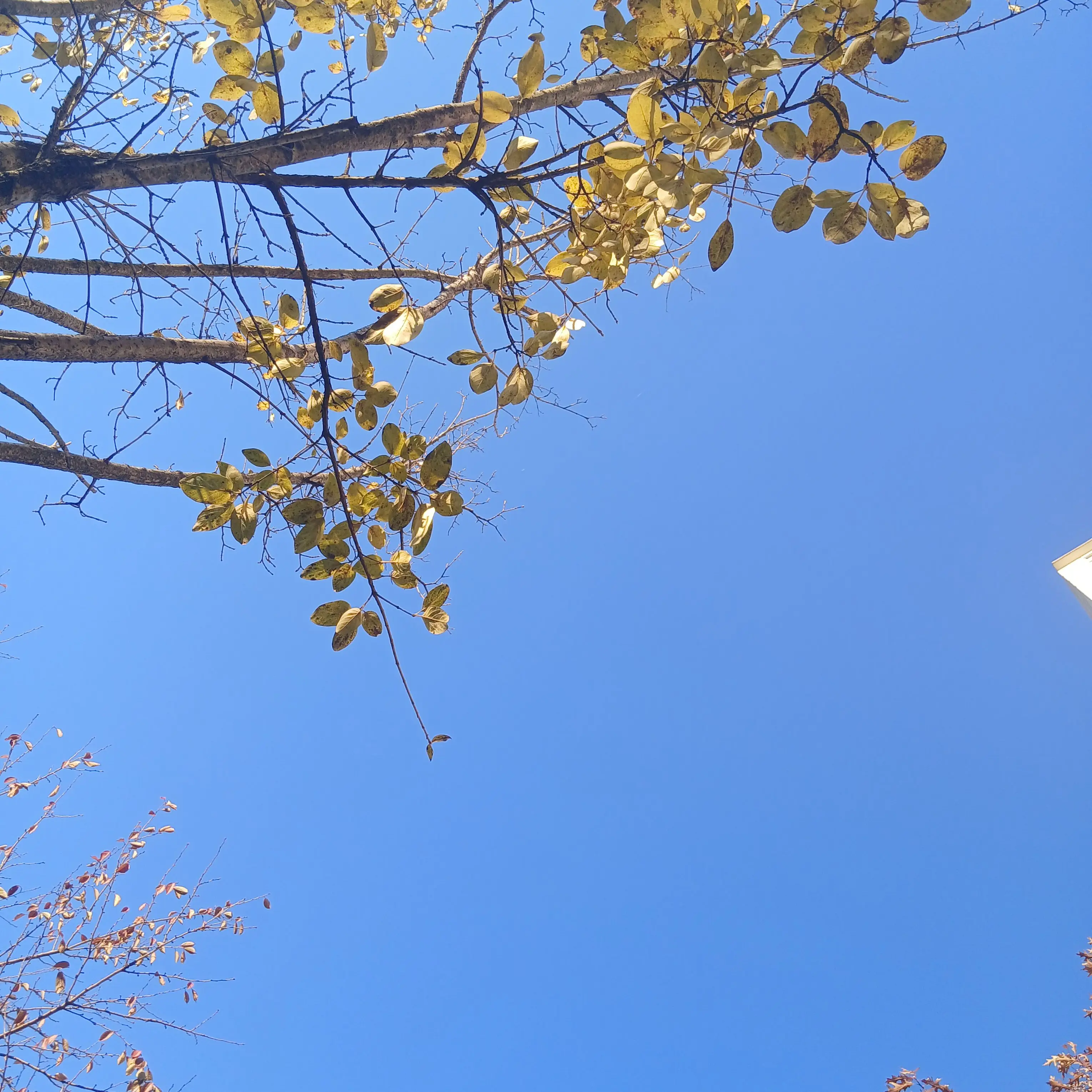 skrrrrrrrrrrr0512의 한동민