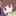 キャラ