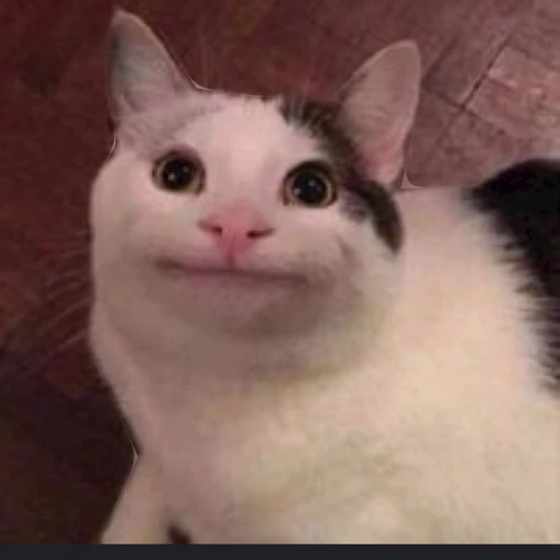 뭐야?