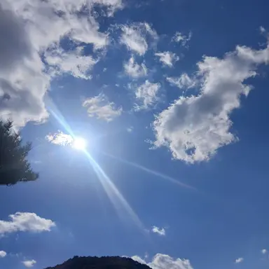 Profile image of 수현