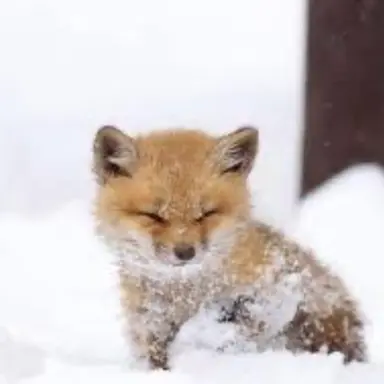 Profile image of おぬ