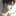 백하준