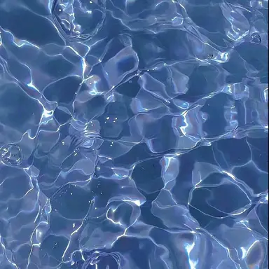 Profile image of 파이브