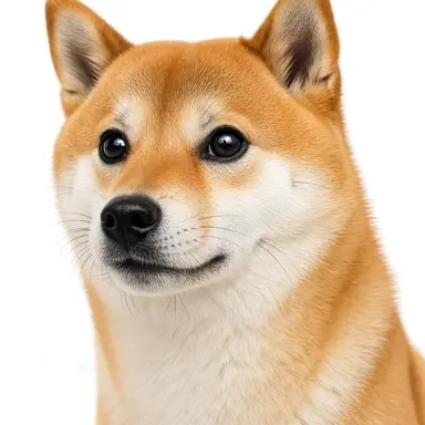 Profile image of 도지