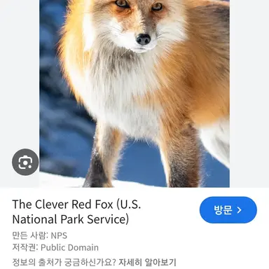 Profile image of 여우