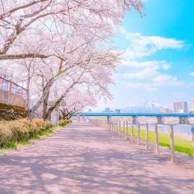 Profile image of 백준영