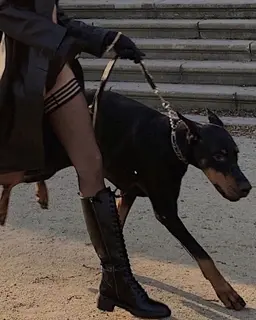 Profile image of Angel