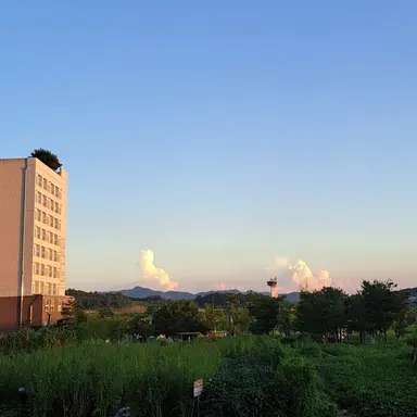 Profile image of 유기사